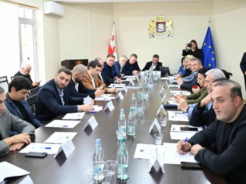 ამბროლაურში პარლამენტის სპორტისა და დიასპორის კომიტეტების ერთობლივი გასვლითი სხდომა...